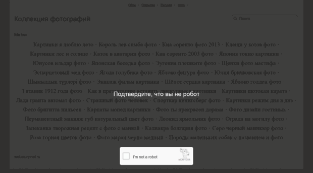 webstory.net.ru