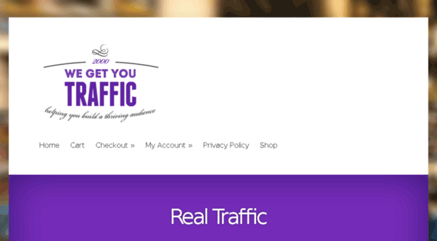 wegetyoutraffic.com