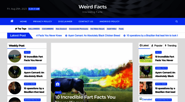 weirdfactss.com