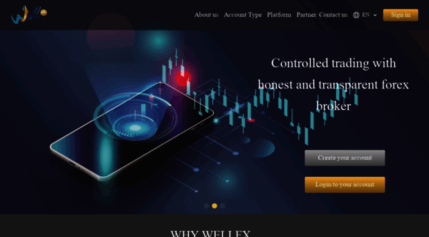 well-fx.com