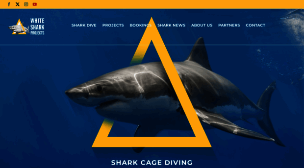 whitesharkprojects.co.za