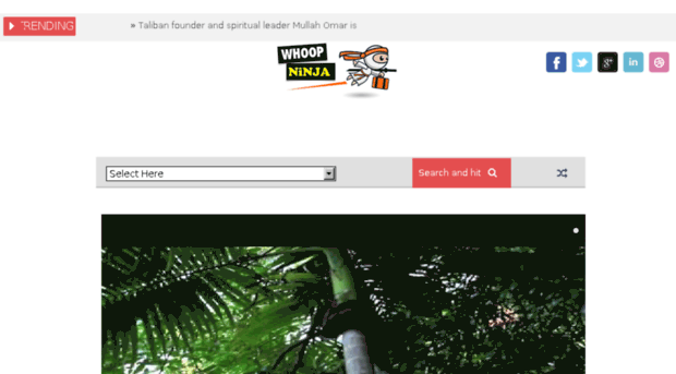 whoopninja.com