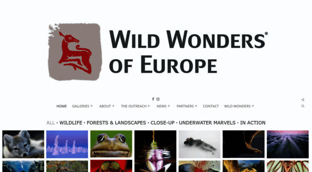 wild-wonders.com
