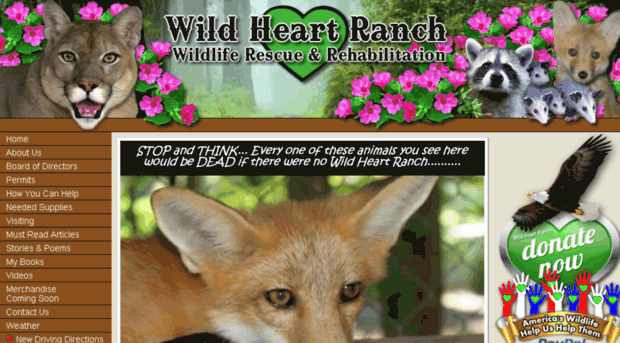 wildheartranch.org