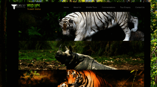 wildlife-travel-india.com