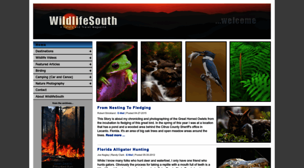 wildlifesouth.com