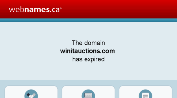 winitauctions.com