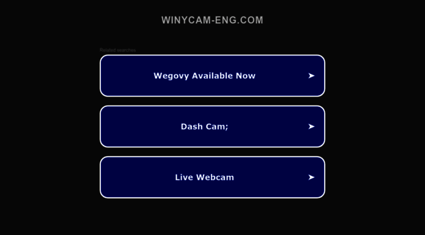 winycam-eng.com