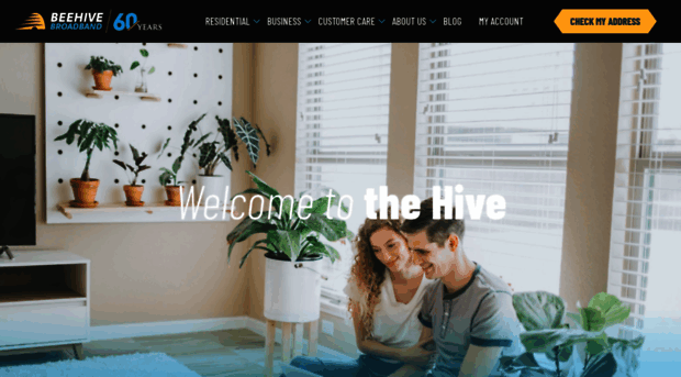 wirelessbeehive.com