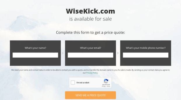 wisekick.com