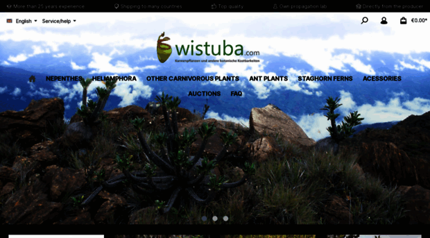 wistuba.com