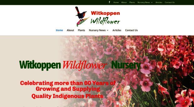 witkoppenwildflower.co.za