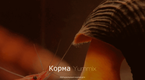 yummix.com.ua