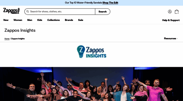 zapposinsights.com