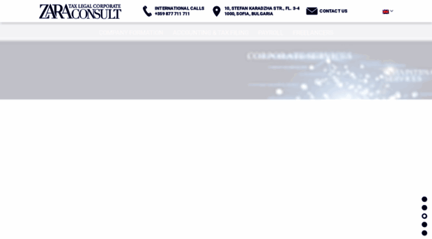zaraconsult.com
