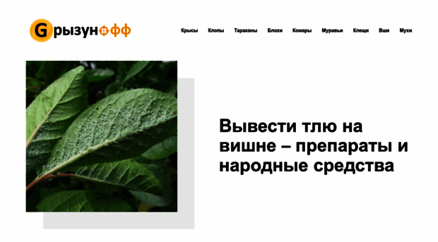 zelenogorsk24.ru