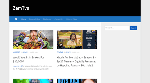 zemtvs.com