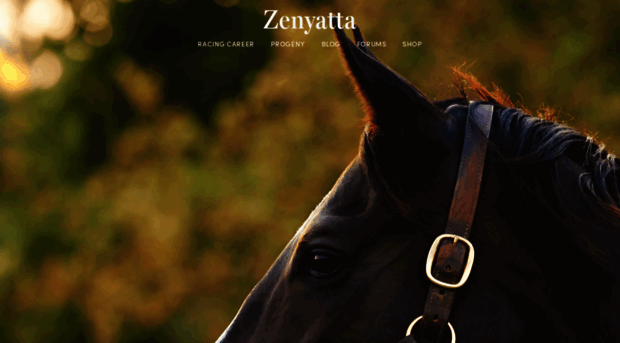 zenyatta.com