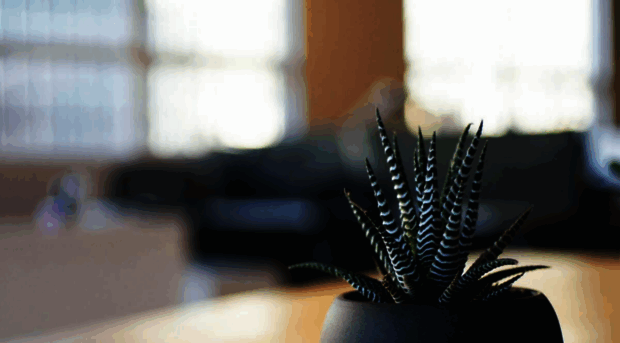 zikiri.solomani.com
