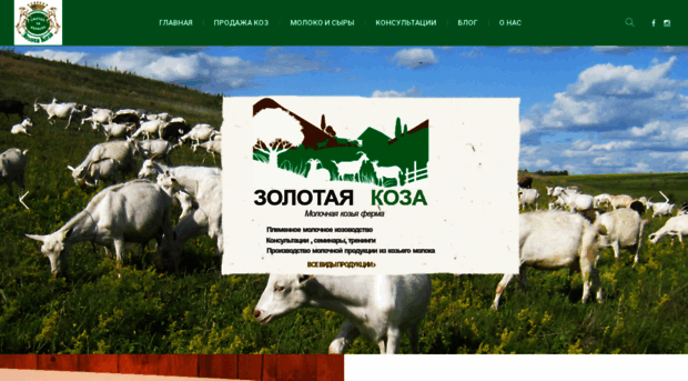zolotakoza.com.ua