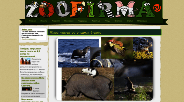 zoofirma.ru