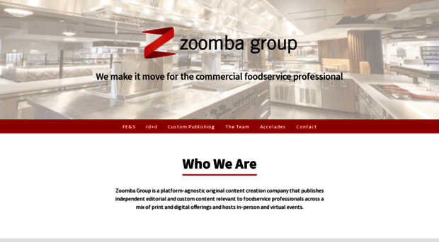 zoombagroup.com
