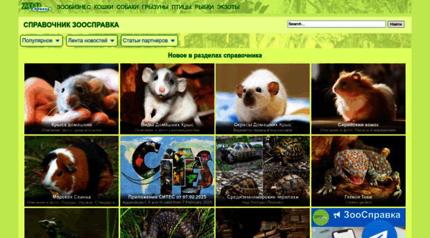zoospravka.ru